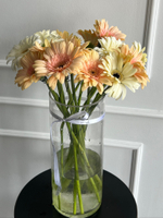 Гербера в кремовом оттенке от 1 шт