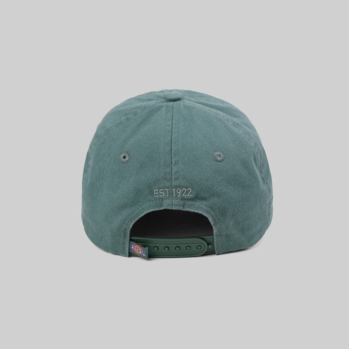 Кепка Dickies Hardwick 6 Panel Logo артикул:DK0A4TKVH151 - купить в магазине Дайс