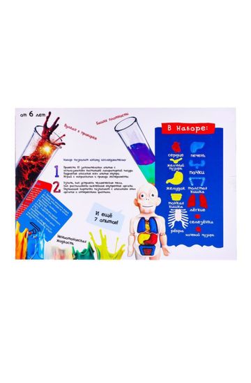 Набор для опытов "Научный набор 2В1",модель тела человека и лабораторная посуда