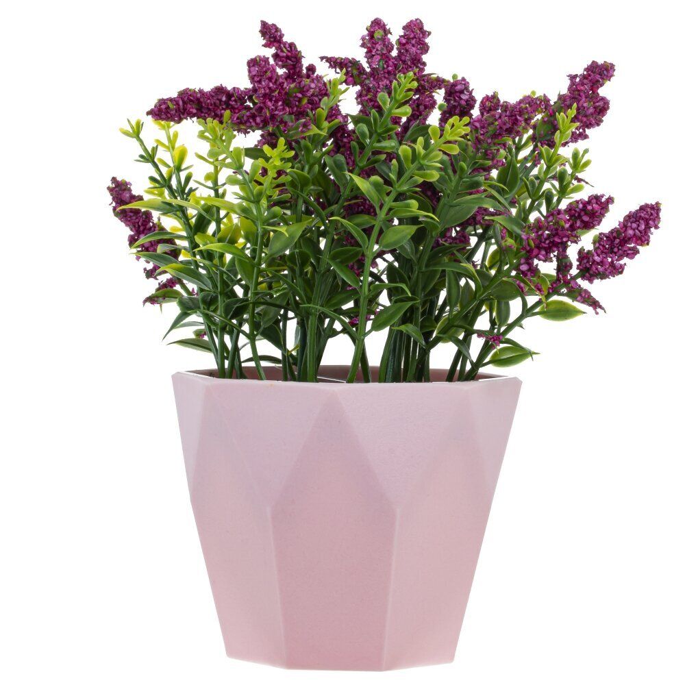 GAEM Цветочная композиция, L15 W15 H18 см, 4в.