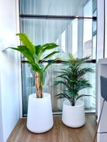 Искусственные растения для частного интерьера.