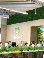 Вертикальное озеленение панелями из искусственной зелени в супермаркете "Табрис" г.Сочи