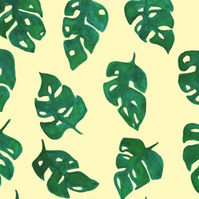 Листики монстеры на желтом фоне Растительный принт