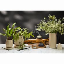 Диффузор ароматический Cypress, Jasmine &amp; Patchouli из коллекции Edge, 200 мл, бежевый