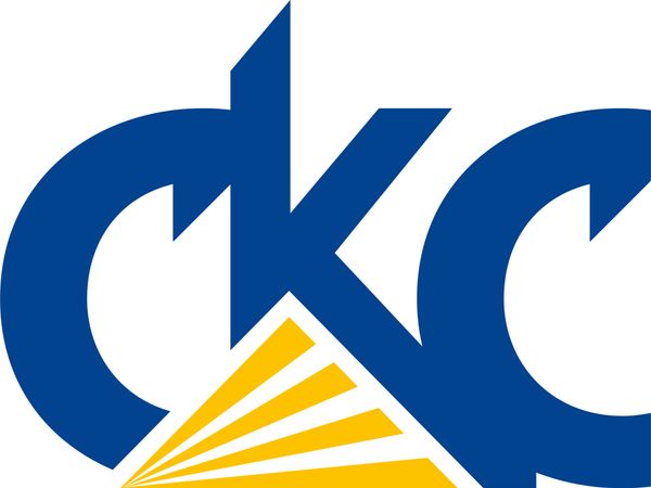 Светильники от производителя СКС