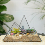 Готовый флорариум с суккулентами Горы "Грёзы востока"