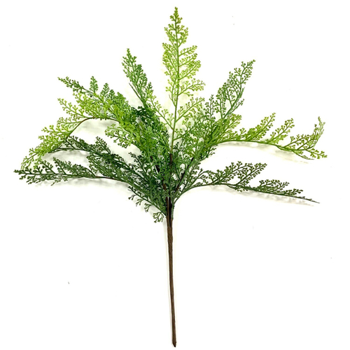 Папоротник адиантум 45 см.