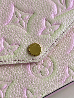 Louis Vuitton Felicie Pochette