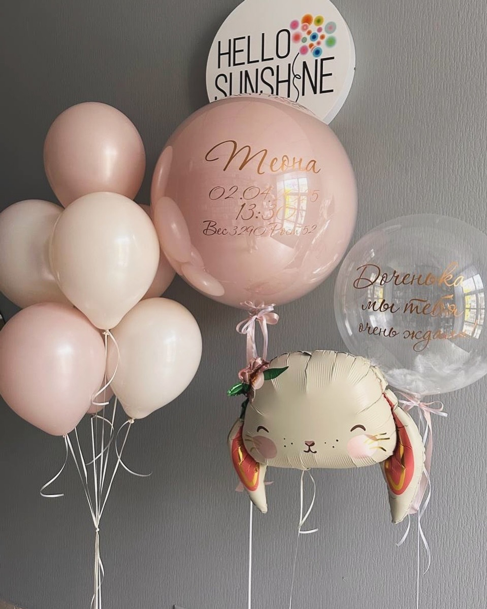 Набор шаров на выписку №13