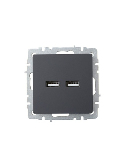 Розетка BRITE USB A+A 3.1А РЮ10-1-БрГ механизм графит IEK BR-U21-D31-K53