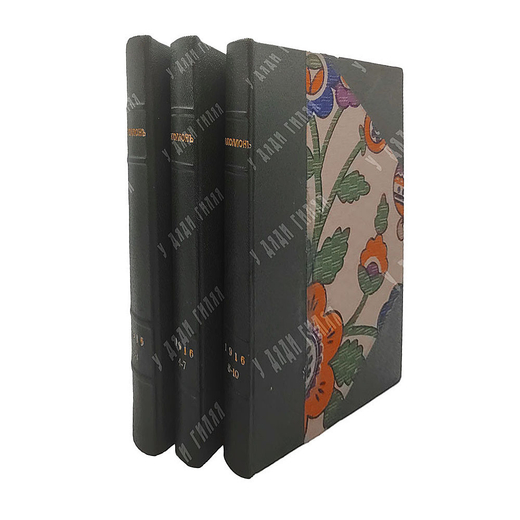 [Подшивка журнала] Аполлон. № 1-10 в 3-х книгах, 1916.