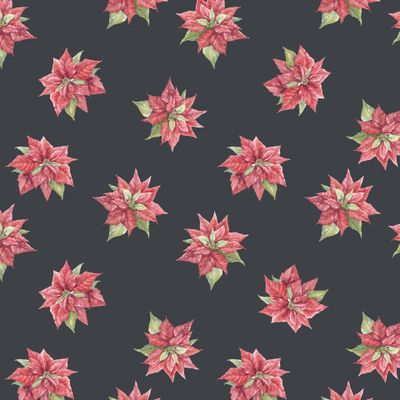 Пуансеттия