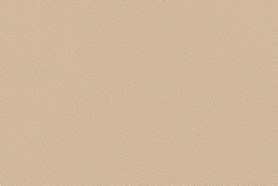 Велюр Prince / Принц