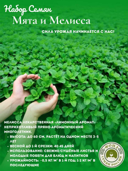Набор трав Мята, Мелисса, семена 0,14 гр. 2 пачки