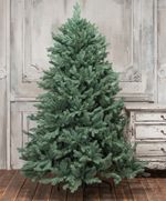 ель "Кремлевская" голубая хвоя