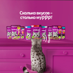 Желе говядина и ягненок, 75г корм для кошек влажный Whiskas