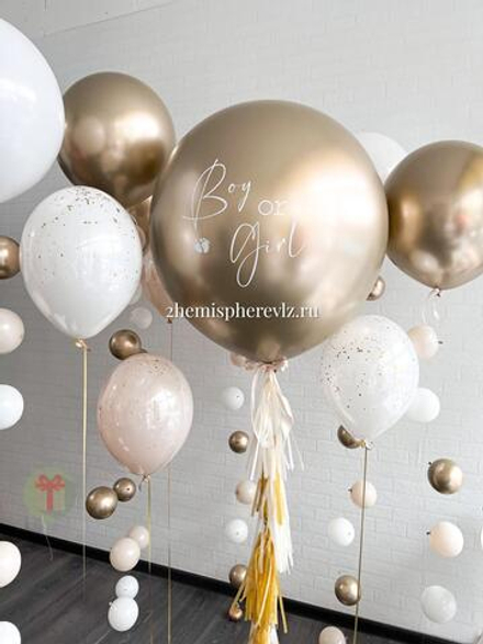 Набор шаров Boy or Girl