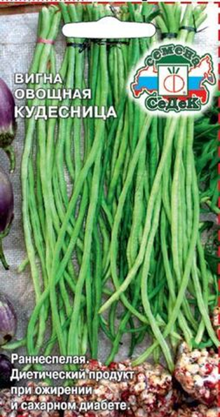 Вигна Кудесница Седек