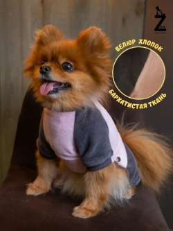 Комбинезон костюм для собак и кошек