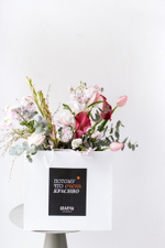 Моменты нежности