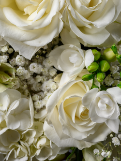 Символ чистоты *