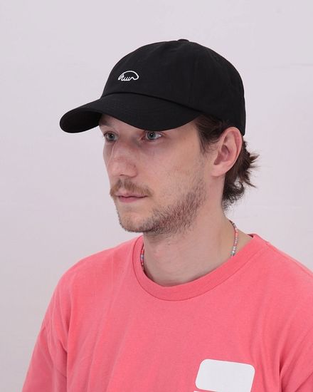 Кепка Anteater 6panel-black