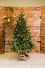 Ель искусственная «Шервуд» (Литая хвоя) от 1,5 м до 2,4 м