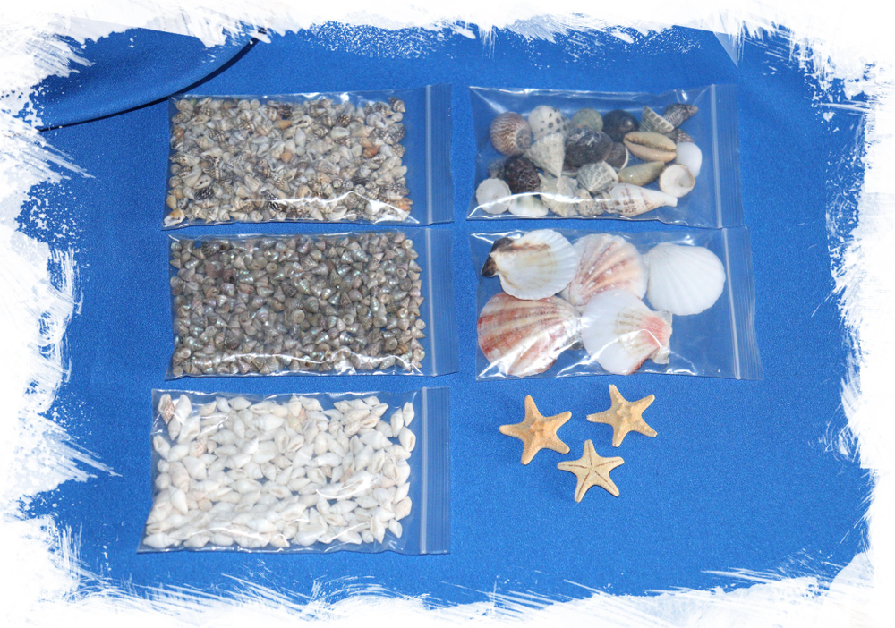 Набор морских ракушек для эпоксидной смолы. Купить