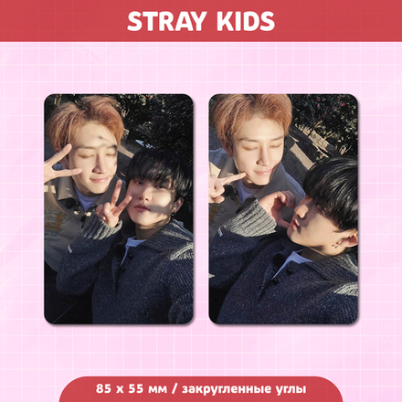 Сет карточек / STRAY KIDS #26