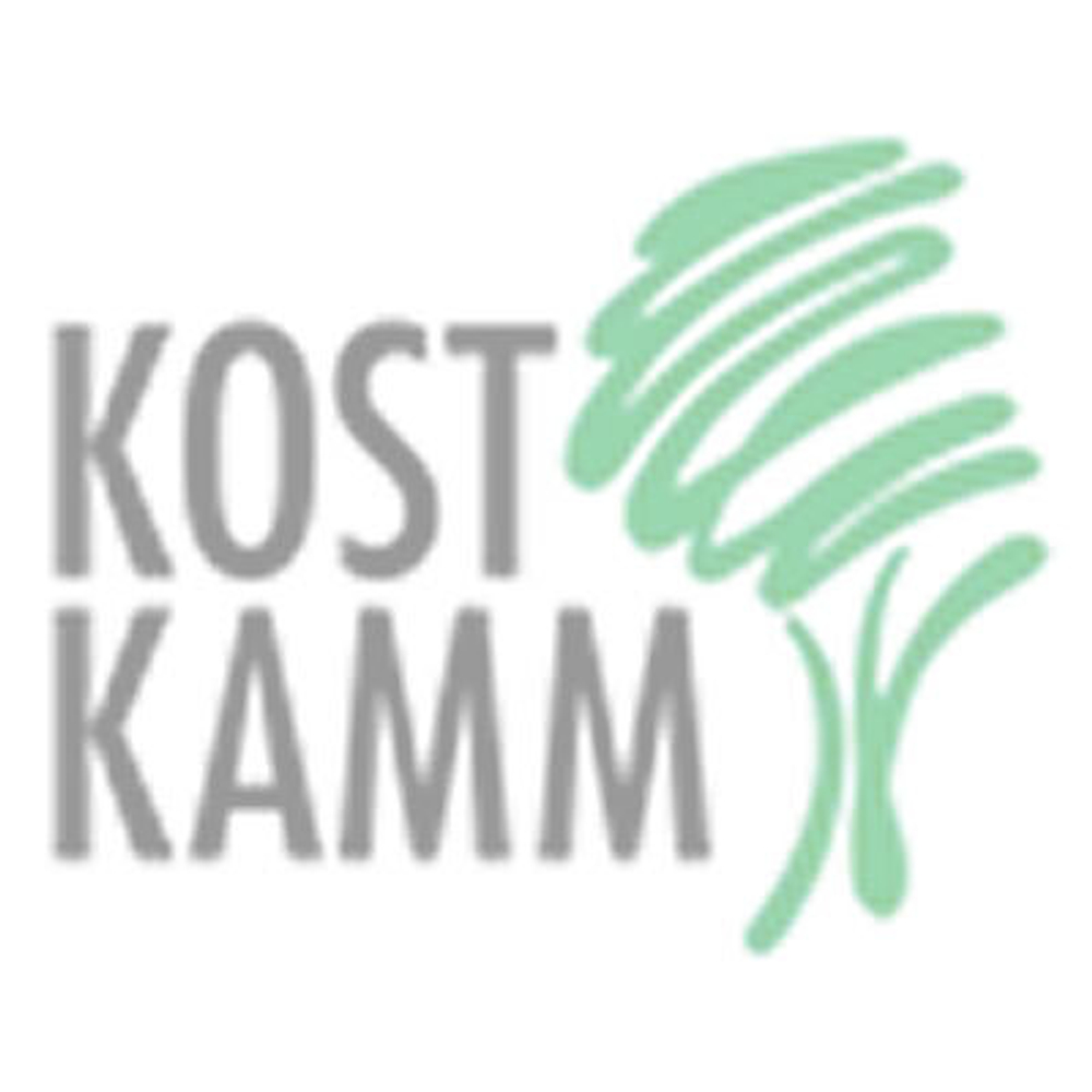 Расческа для стрижки волос Kost Kamm, тонкая, очень жесткая/жесткая (4 шт.)