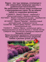 Вереск Раднор зимостойкий