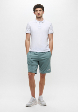 Шорты спортивные мужские PUMA ESS 2 COLOR No. 1 Logo Shorts 10" TR