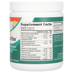 Pure Essence, lonic-Fizz™, Magnesium Plus™, со вкусом апельсина и ванили, 342 г (12,06 унции)