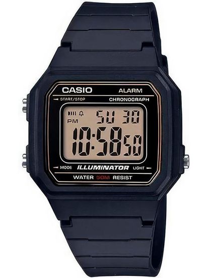 Наручные часы Casio W-217H-9AVDF