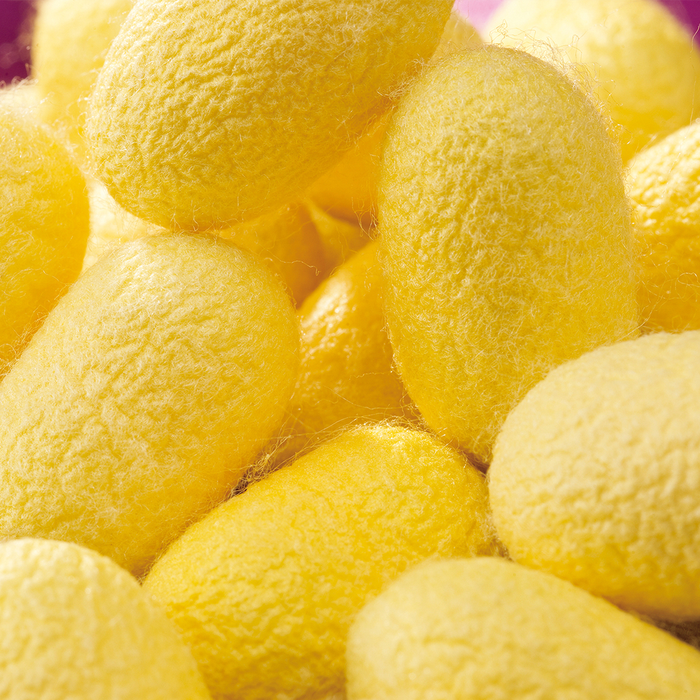 Шелковая щетка для лица из золотого шелка Tomioka Cocoon Golden Silk Brush