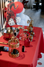 Lady Bug Party