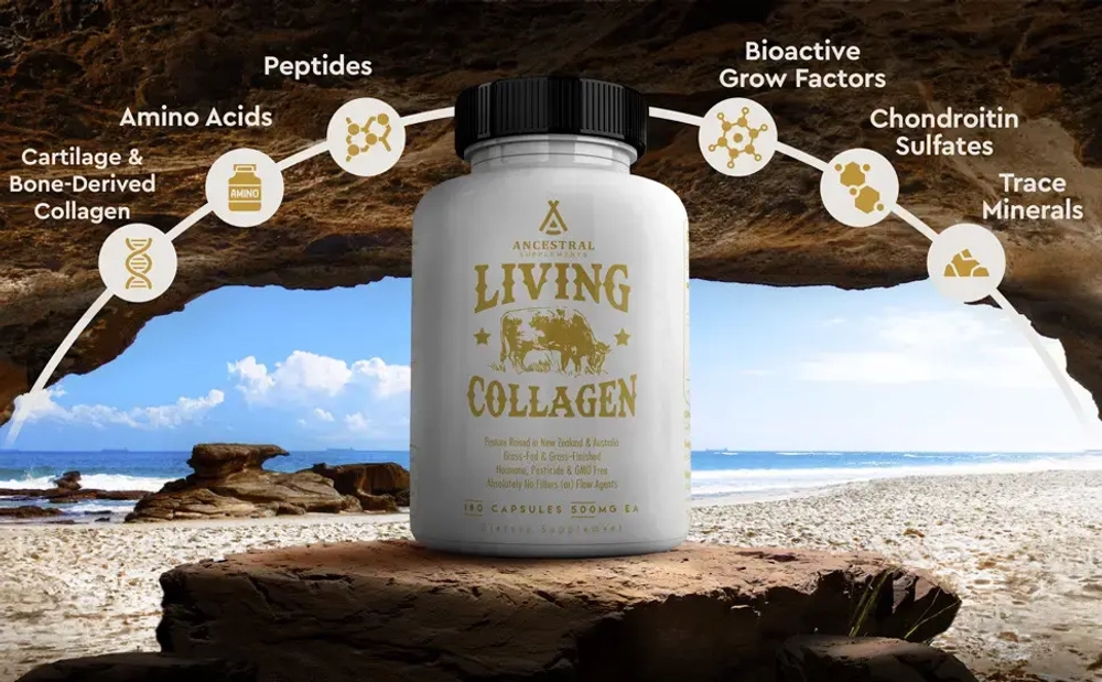Ancestral Supplements - Grass Fed Beef Living Collagen 500 mg 180 capsules