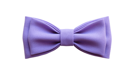 Однотонный галстук - бабочка (фиолетовый)