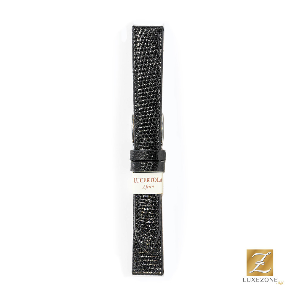 Morellato A01U2116372019CR