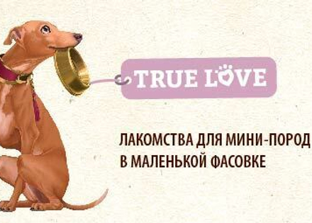 TRUE LOVE
