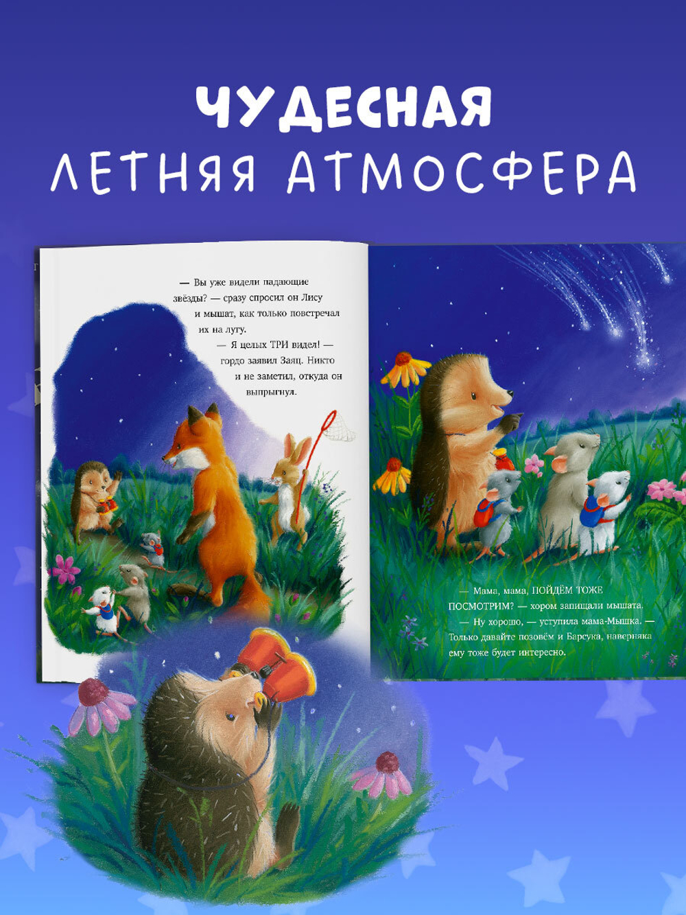Приключения Ежульки (мягкая обложка). Самая звёздная ночь
