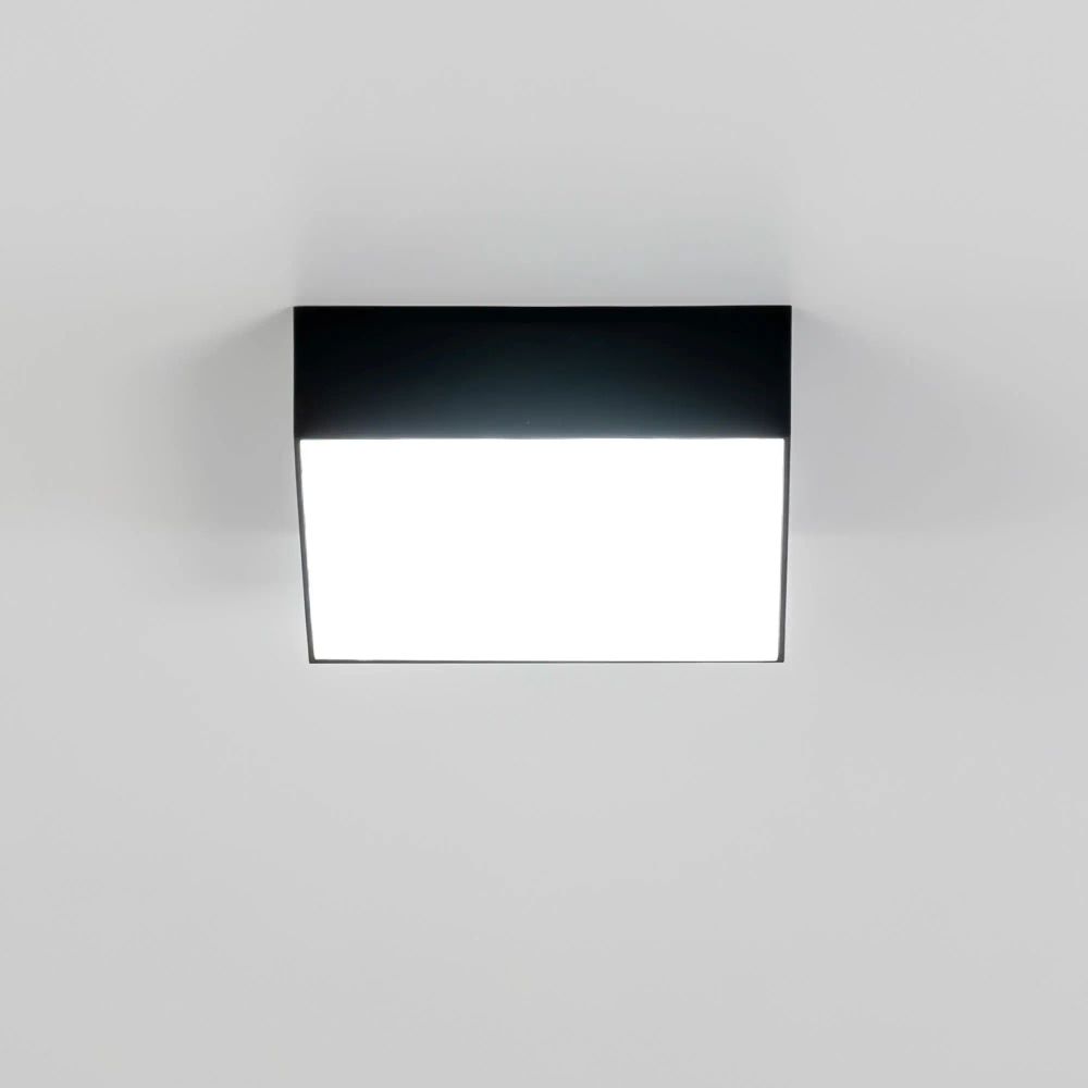 Citilux Тао CL712X122N LED Светильник потолочный с диммером Чёрный