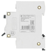 Автомат дифференциальный Systeme Electric C9D55610
