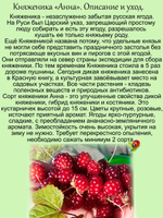 Княженика Анна арктическая малина княжья ягода
