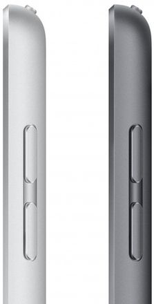 Apple iPad