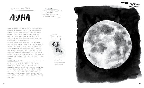 Ночь. Книга о сне и тайнах темноты