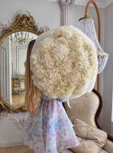 19 Гортензий Меделин