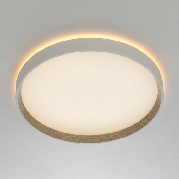 Потолочный светодиодный светильник Citilux Etalon CL750320R