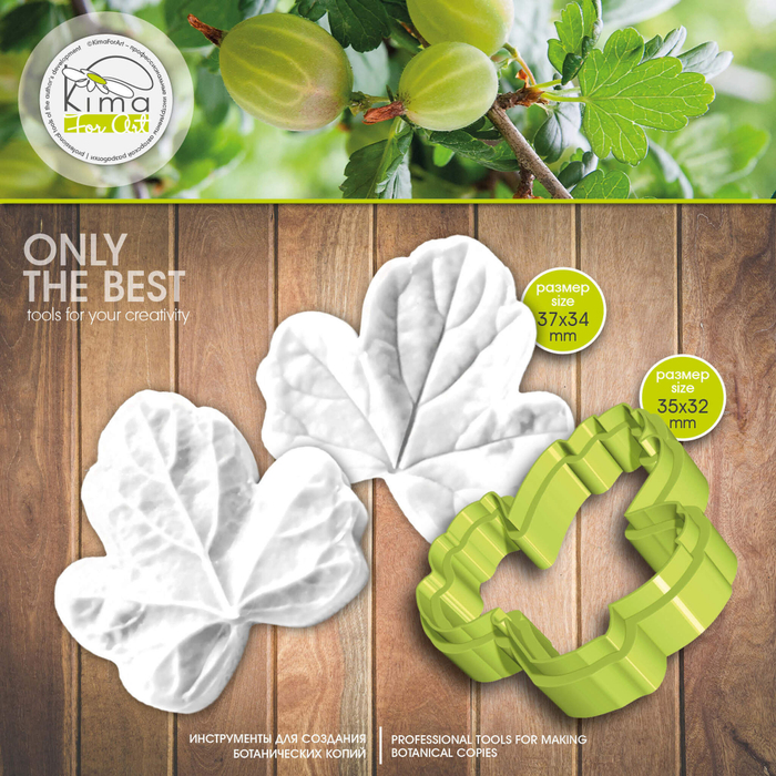 Крыжовник лист средний