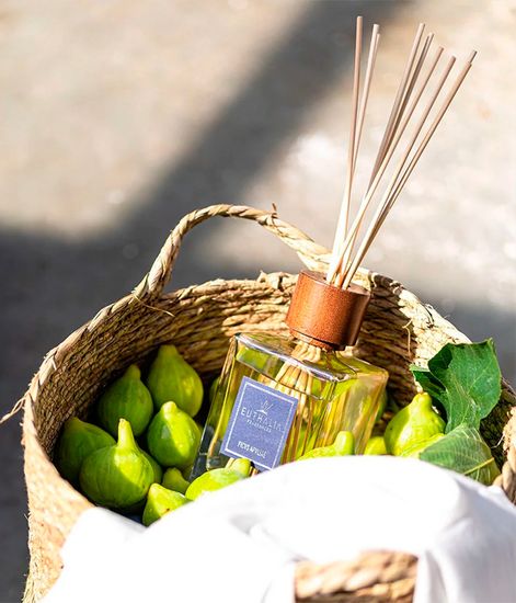 Ficus Apuliae, ароматический диффузор с палочками, Euthalia Fragrances